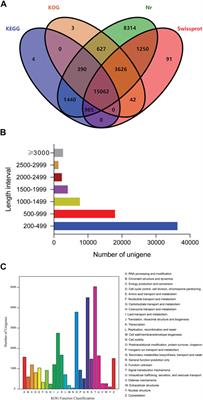 Transcriptome Analysis Reveals the Molecular Response to Salinity Challenge in Larvae of the Giant Freshwater Prawn Macrobrachium rosenbergii